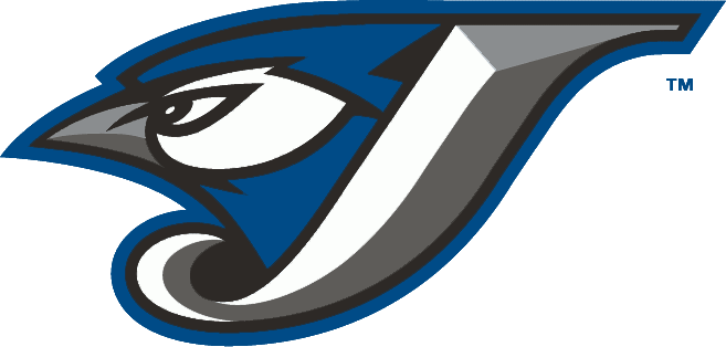 Toronto Blue Jays 2004-2011 Alternate Logo fabric transfer version 2